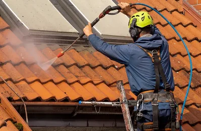 Démoussage et hydrofuge de toiture à Bassens